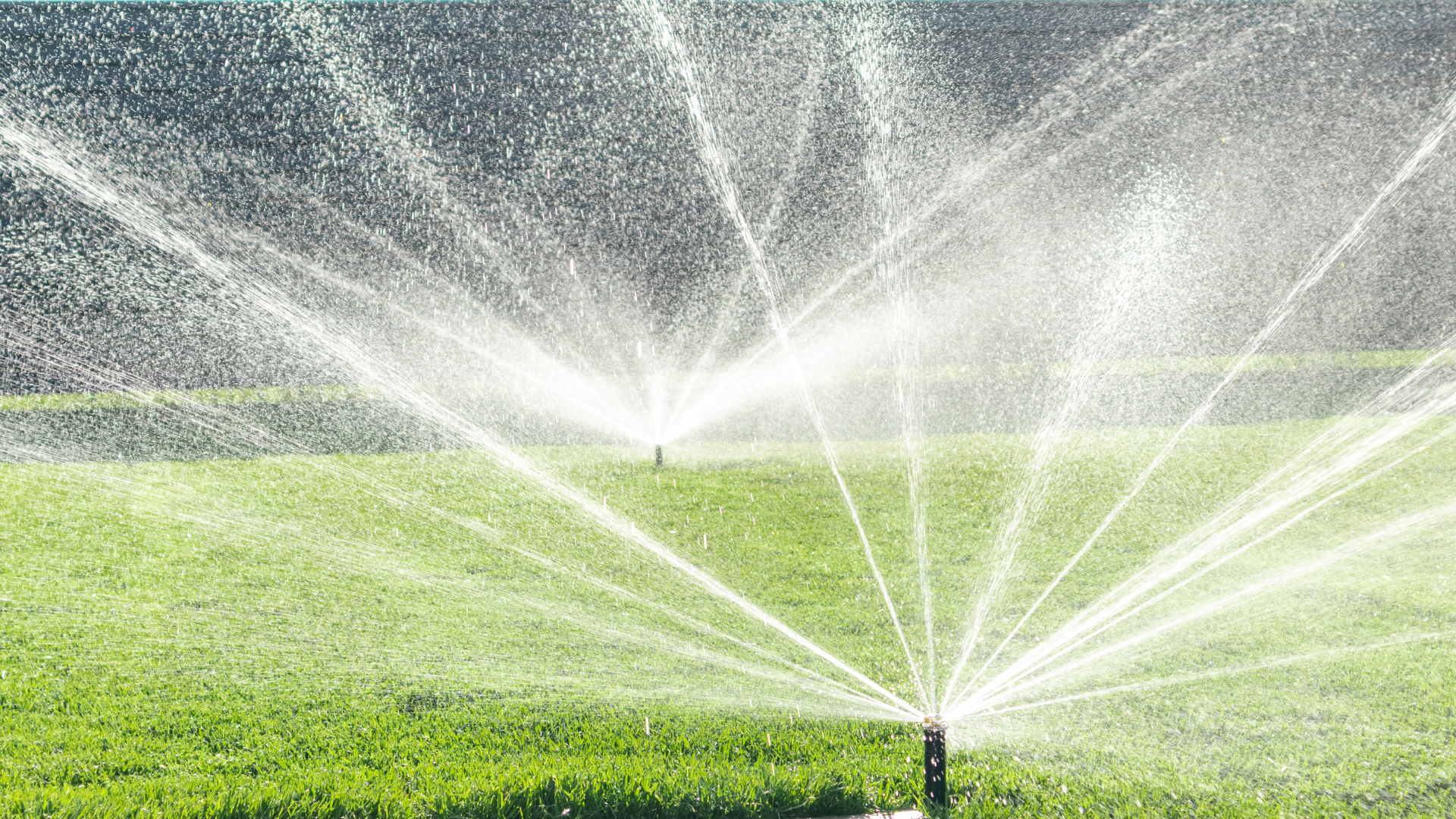 Irrigation